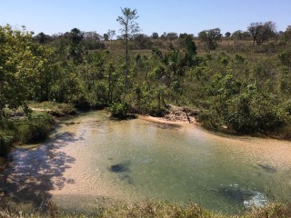 Foto Início do Projeto de Recuperação de APP's nas propriedades da APA do Guariroba