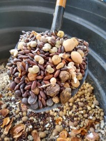 Foto ARCP apresenta a Rede de Sementes Flor do Cerrado ao Conselho Gestor da APA do Guariroba