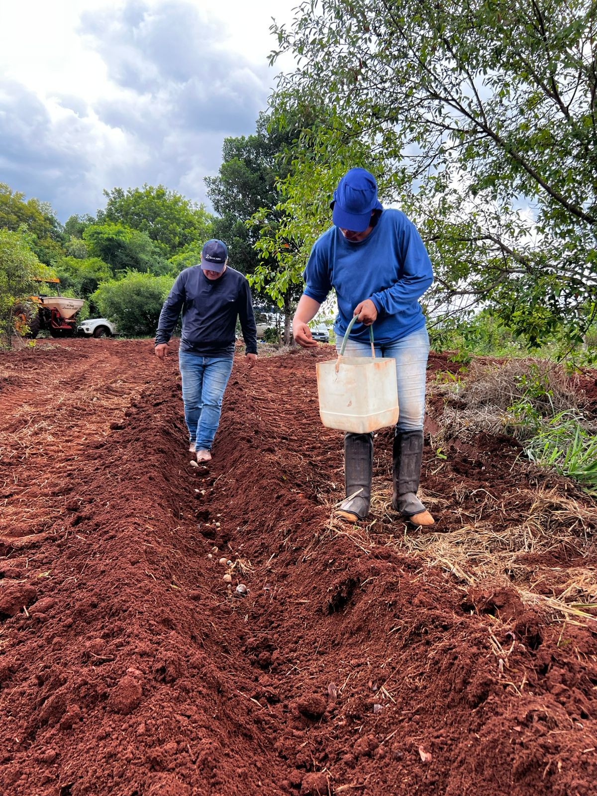 Foto APA do Guariroba recebe plantio de três hectares em sistema de muvuca